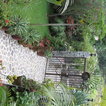 Villa Eggedal Santa Cruz La Laguna Dış mekan fotoğraf